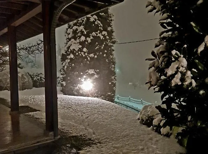 Margot Oda ve Kahvaltı