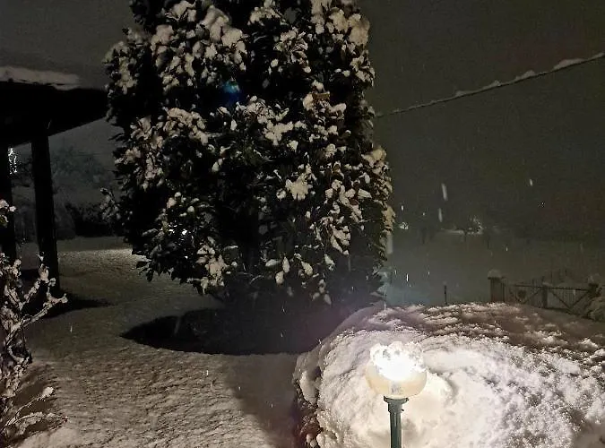 Margot Oda ve Kahvaltı Albavilla
