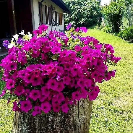 Margot Bed and breakfast Albavilla