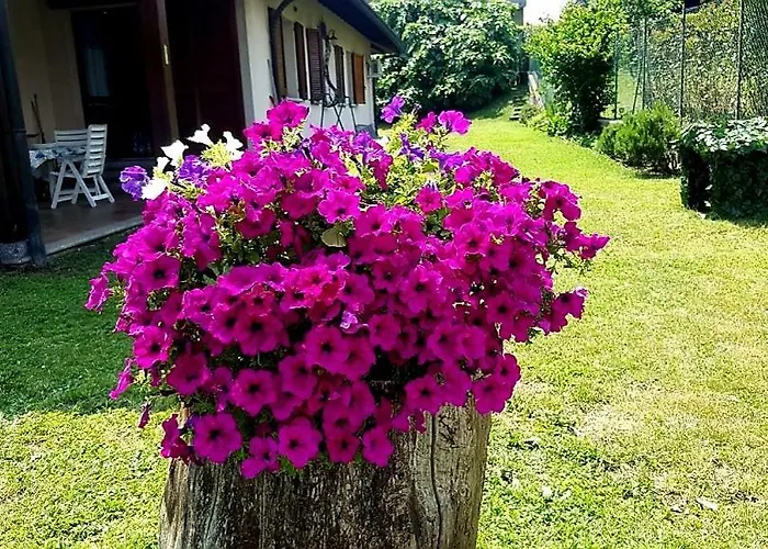 Margot Oda ve Kahvaltı Albavilla